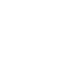 Dallas Stars